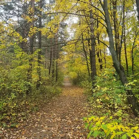 1 With Balcony, Nalepkova شقة